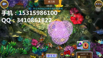 細(xì)數(shù)捕魚游戲軟件開發(fā)的游戲技巧 趣味性十足與經(jīng)典套路設(shè)計